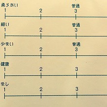 毛髪診断とは？？