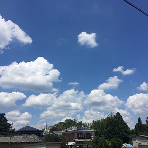 夏本番！お盆前の予約状況のお知らせ☆