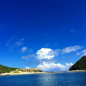 夏の紫外線から、髪の毛を守ろう♪