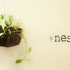 nest・お知らせ☆