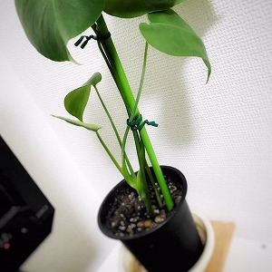 若林のプライベートブログっ（興味がある方はご覧ください）