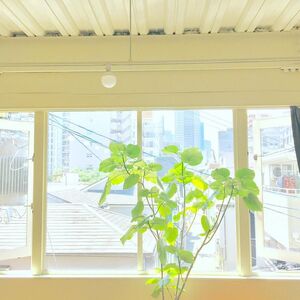 ４月・５月の定休日✩
